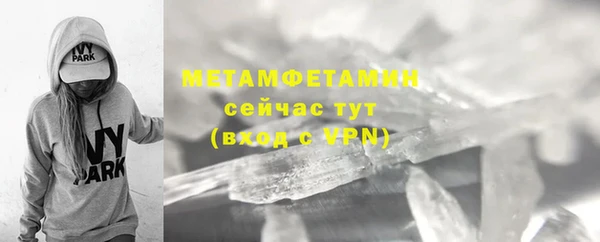 гидра Белокуриха