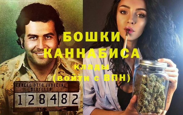гидра Белокуриха