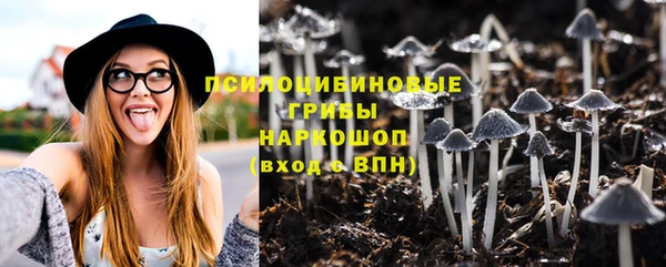 гидра Белокуриха