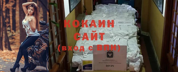 гашик Белоозёрский